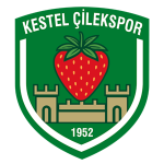 Kestel Çilek
