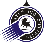 Celaya 2